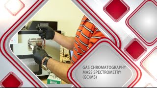 Gas ChromatographyMass Spectrometry [upl. by Maletta]