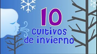 10 Cultivos de Invierno para La Huerta  La Huerta de Daniel 🌻 [upl. by Athene980]