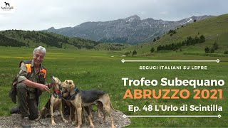 SEGUGI ITALIANI SU LEPRE EP 48  SECONDO ASSOLUTO TROFEO SUBEQUANO [upl. by Shellie891]