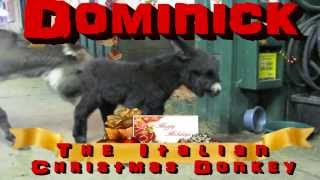 Dominick The Italian Christmas Donkey [upl. by Ellednahc]