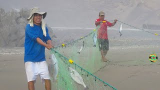 COMO SE PESCA CON RED EN EL MAR  PESCA CON RED  net fishing in the sea [upl. by Ecinej563]