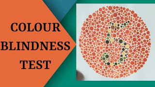 Color blindness test Color blindness test armydriving licensesscishihara testColour vision test [upl. by Jade]