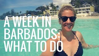 A Week Holiday in BARBADOS What to DO [upl. by Aleta]