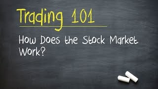 Trading 101 How Does the Stock Market Work [upl. by Arita]