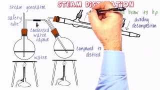 Organic Practical Setup 10 Steam distillation [upl. by Regor]