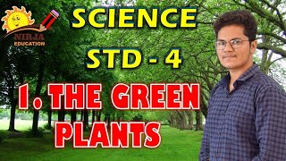 Class 4 Science Chapter 1  Science Class 4 Chapter 1  Green Plants  NCERT  CBSE  Green Plants [upl. by Notsirb]