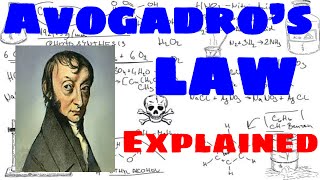 Avogadros Law Explained [upl. by Xer]