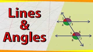 Lines and Angles  Geometry  Math  Letstute [upl. by Asirrom]