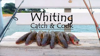 Whiting Catch amp Cook Easy Tasty Recipe [upl. by Zil]