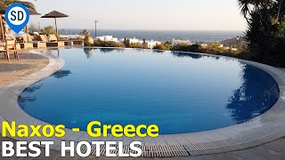 The Best Hotels in Naxos  SantoriniDavecom [upl. by Errol]