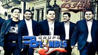 Grupo Bryndis Solo Exitos Mix [upl. by Connell897]