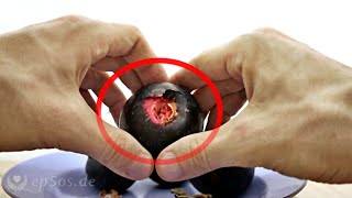 How to Open up Mangosteen Properly [upl. by Yadnil]