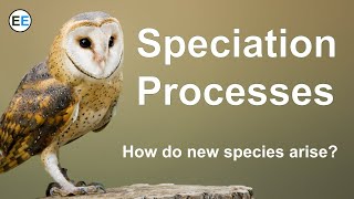 Speciation Processes  How do new species arise [upl. by Matusow184]