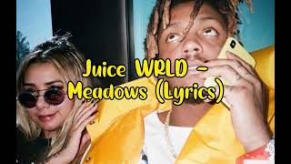 Juice WRLD  Meadows LyricsUnreleased [upl. by Combe703]