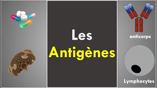 Les Antigènes [upl. by Novhaj]