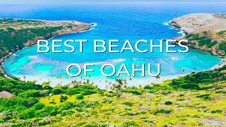 The 10 BEST BEACHES in Oahu  Living in Hawaii these are our favorites [upl. by Alleul]