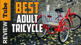 ✅ Tricycle Best Adult Tricycle Buying Guide [upl. by Jerrold]