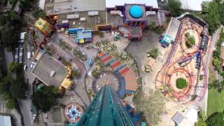 Falcons Fury POV Drop ridethrough at Busch Gardens Tampa [upl. by Ilanos]