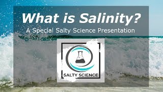 What is Salinity  Salty Science amp the SaltTea Café [upl. by Izmar]