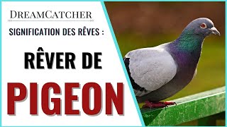 RÊVER DE PIGEON  SIGNIFICATION INTERPRÉTATIONS amp SYMBOLISME [upl. by Udell303]