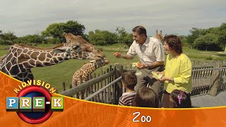 Zoo  Virtual Field Trip  KidVision PreK [upl. by Cower278]