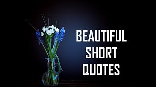 Beautiful Short Quotes  Life Lessons [upl. by Niatirb196]