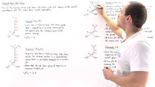 Basic and Acidic Amino Acids [upl. by Esilanna]