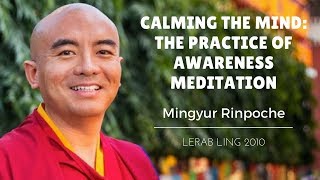 Mingyur Rinpoche  Calming the Mind The Practice of Awareness Meditation [upl. by Waine215]