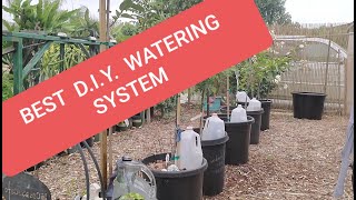 EASIEST amp CHEAPEST DIY SELF WATERING SYSTEM FOR YOUR PLANTS TREES [upl. by Columba]