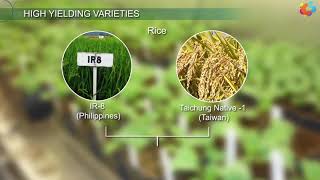 High Yielding Varieties [upl. by Rebm]