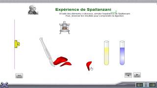 la digestion expérience de spallanzani [upl. by Cozmo]