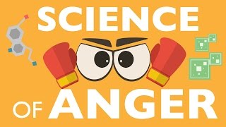 THE SCIENCE OF ANGER [upl. by Tatman]