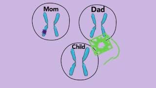 Modes of Inheritance  De Novo  A Primer for Patients amp Parents [upl. by Verena]