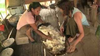 Como Hacer Chicha de Yuca  How to make Yucca Chicha  Amazonia Kichwa Ecuador [upl. by Greff]