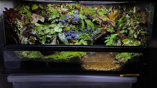 PALUDARIUM TUTORIAL  Step by step [upl. by Nonnair250]