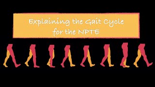 Explaining the Gait Cycle for the NPTE [upl. by Mirak]