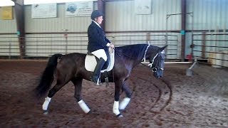 Gaited Dressage Demonstration [upl. by Anica]