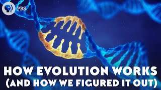 How Evolution Works And How We Figured It Out [upl. by Herodias]