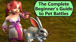 How to Get Started with Pet Battles From Scratch [upl. by Tonia]