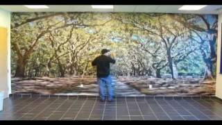 ORACAL USA  Indoor Wall Mural Installation [upl. by Zul]