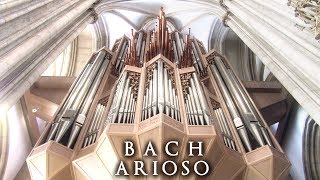 JS BACH  ARIOSO  THE ORGAN OF ST LAMBERTI MÜNSTER GERMANY  JONATHAN SCOTT [upl. by Ailehpo]