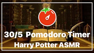 Fireplace at Hogwarts 305 Pomodoro Timer  Harry Potter ASMR [upl. by Corenda74]