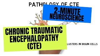 2Minute Neuroscience Chronic Traumatic Encephalopathy CTE [upl. by Philipson]