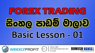 Forex Trading Sinhala  Basic Lesson 01 [upl. by Woermer]