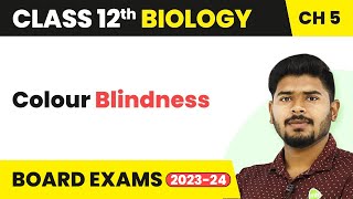 Colour Blindness  Principles of Inheritance and Variation  Class 12 Biology 202223 [upl. by Dehsar802]