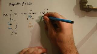 Alcohol Dehydration Mechanism [upl. by Okun]