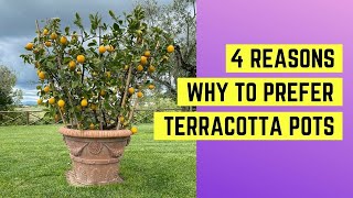 4 reasons WHY to prefer terracotta pots from Impruneta [upl. by Mariam]