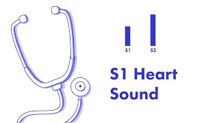 S1 Heart Sound  Learn How to Auscultate Part 8 [upl. by Amoakuh]