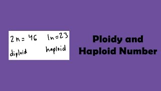 Ploidy and Haploid Number [upl. by Akiraa]