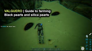 Ark Valguero  Guide to Farming Black Pearls and Silica Pearls [upl. by Asihtal534]